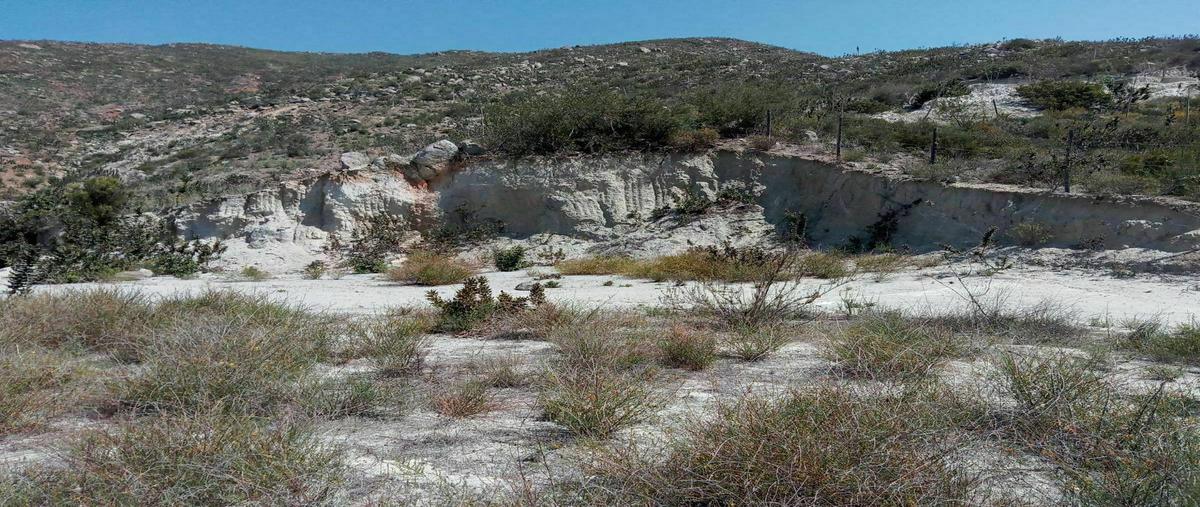 Foto de terreno habitacional en venta en  , nueva ensenada, ensenada, baja california, 20510326 No. 03