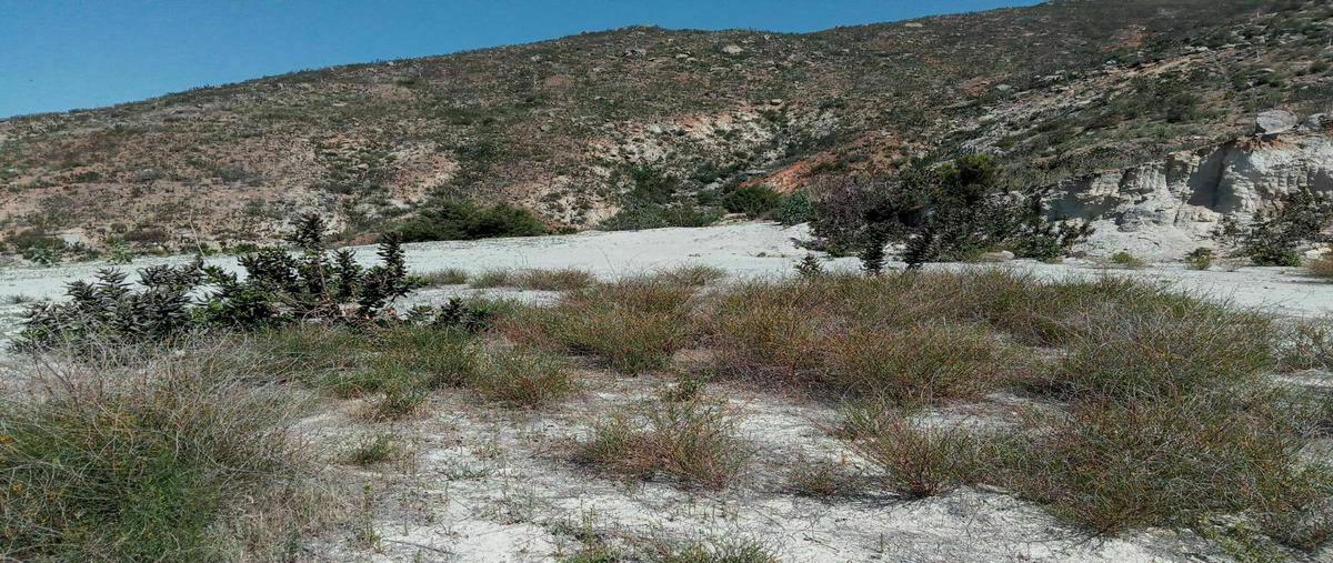 Foto de terreno habitacional en venta en  , nueva ensenada, ensenada, baja california, 20510326 No. 05