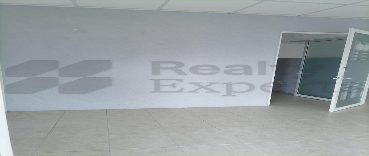Foto de local en renta en  , nueva imagen, centro, tabasco, 0 No. 03