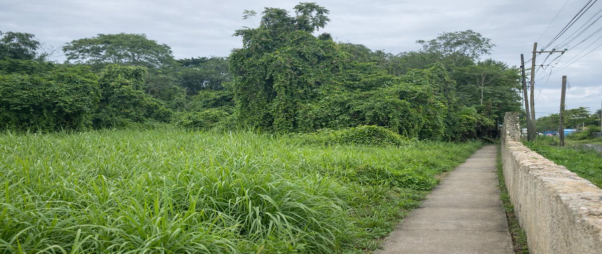 Foto de terreno habitacional en venta en  , nueva mina norte, minatitlán, veracruz de ignacio de la llave, 0 No. 04
