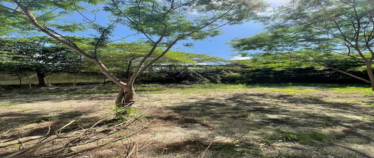 Foto de terreno habitacional en venta en  , nueva sambula, mérida, yucatán, 0 No. 05