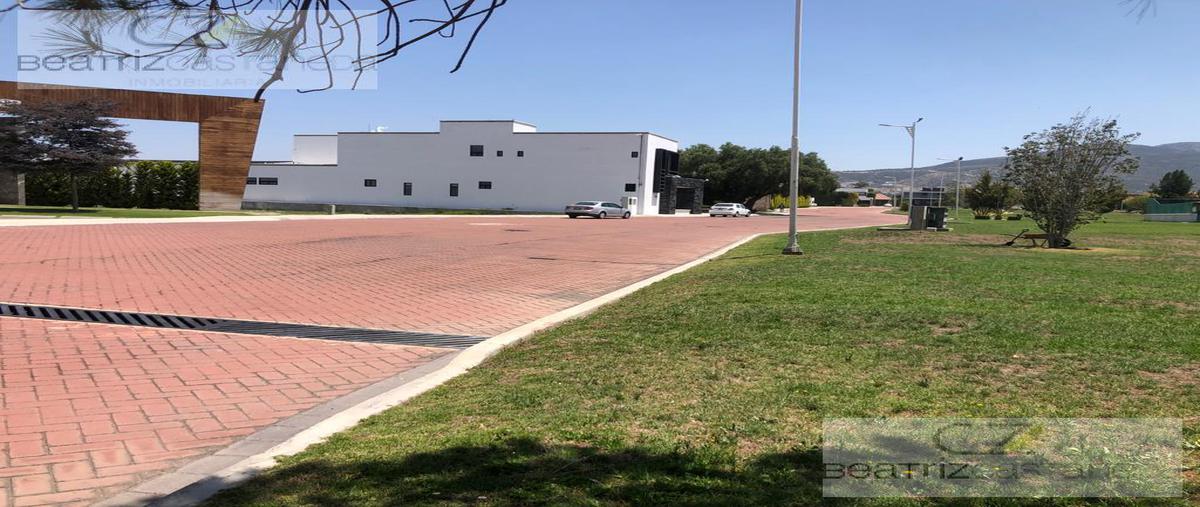 Foto de terreno habitacional en venta en  , nueva tlaxiaca, san agustín tlaxiaca, hidalgo, 0 No. 04