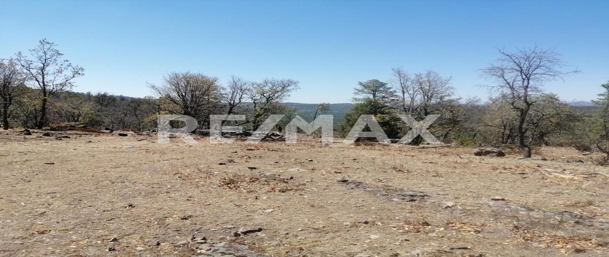 Foto de terreno comercial en venta en nueva york escondido , el alacrán, san dimas, durango, 0 No. 05