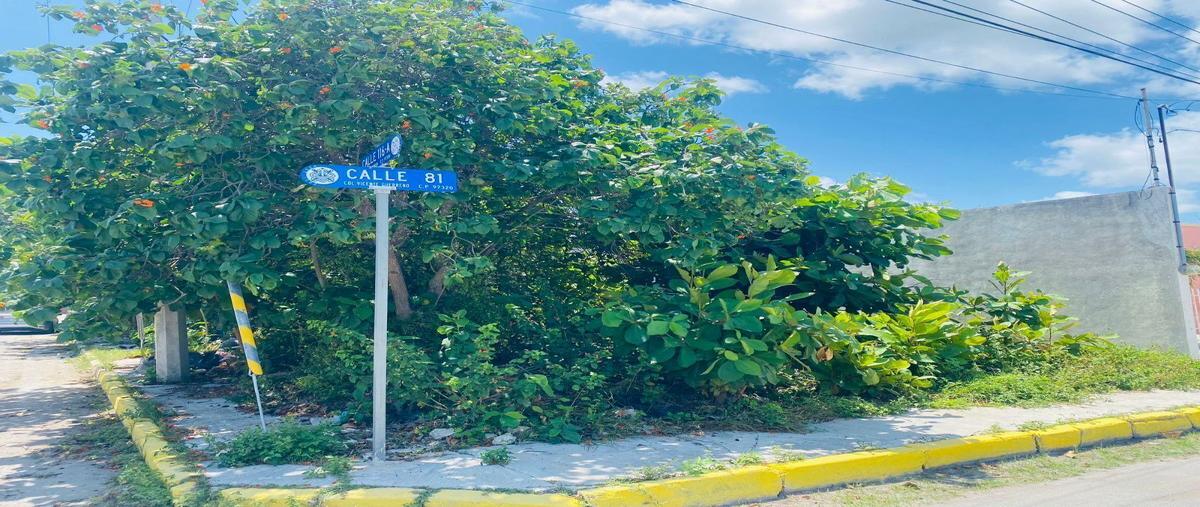 Foto de terreno habitacional en , nueva yucalpeten, progreso, yucatán, 27960961 foto 03 Foto de terreno habitacional en venta en , nueva yucalpeten, progreso, yucatán, 27960961 No. 03