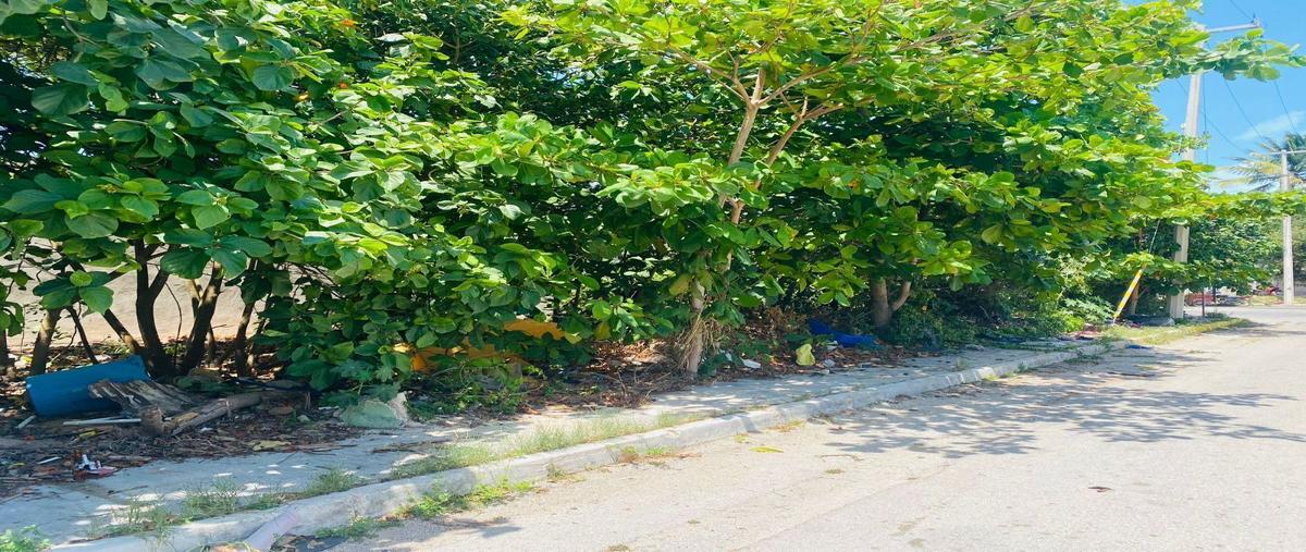 Foto de terreno habitacional en , nueva yucalpeten, progreso, yucatán, 27960961 foto 04 Foto de terreno habitacional en venta en , nueva yucalpeten, progreso, yucatán, 27960961 No. 04