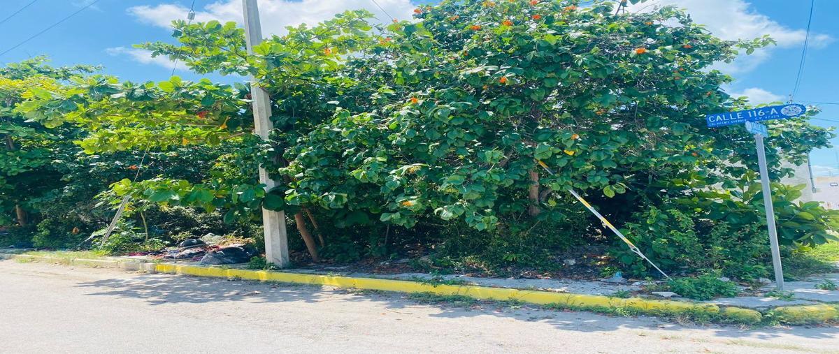 Foto de terreno habitacional en , nueva yucalpeten, progreso, yucatán, 27960961 foto 05 Foto de terreno habitacional en venta en , nueva yucalpeten, progreso, yucatán, 27960961 No. 05