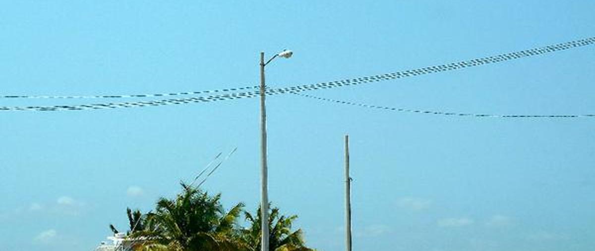 Foto de terreno habitacional en renta en  , nueva yucalpeten, progreso, yucatán, 6782245 No. 05