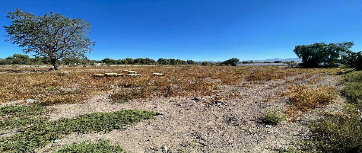 Foto de terreno habitacional en venta en  , nuevo actopan, actopan, hidalgo, 0 No. 03
