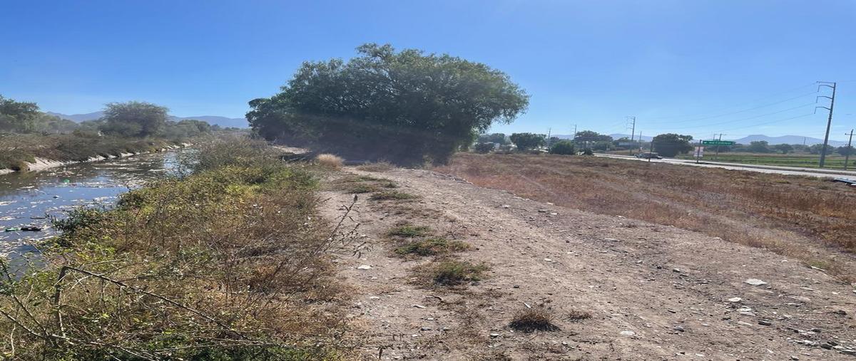 Foto de terreno habitacional en venta en  , nuevo actopan, actopan, hidalgo, 0 No. 05