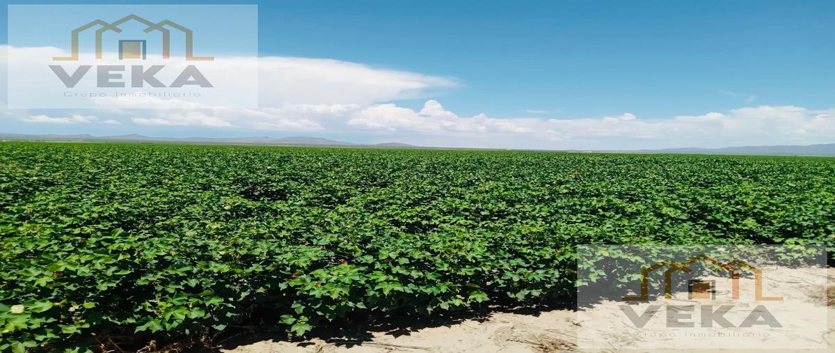 Foto de rancho en venta en  , nuevo casas grandes centro, nuevo casas grandes, chihuahua, 29874682 No. 03