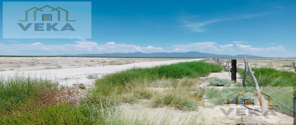 Foto de rancho en venta en  , nuevo casas grandes centro, nuevo casas grandes, chihuahua, 29874682 No. 04