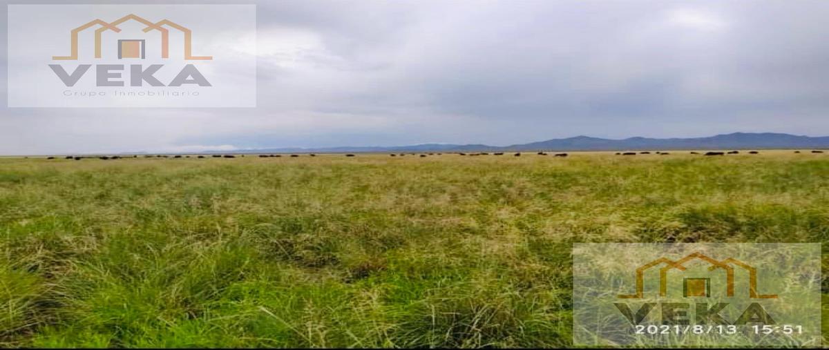Foto de rancho en venta en  , nuevo casas grandes centro, nuevo casas grandes, chihuahua, 29874682 No. 05