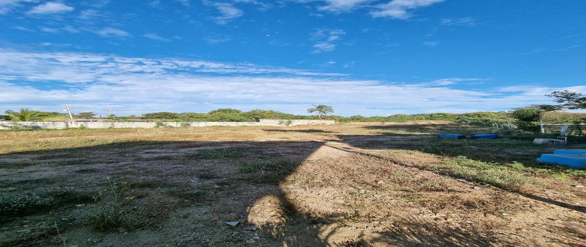 Foto de bodega en venta en  , nuevo cayaco, acapulco de juárez, guerrero, 0 No. 05