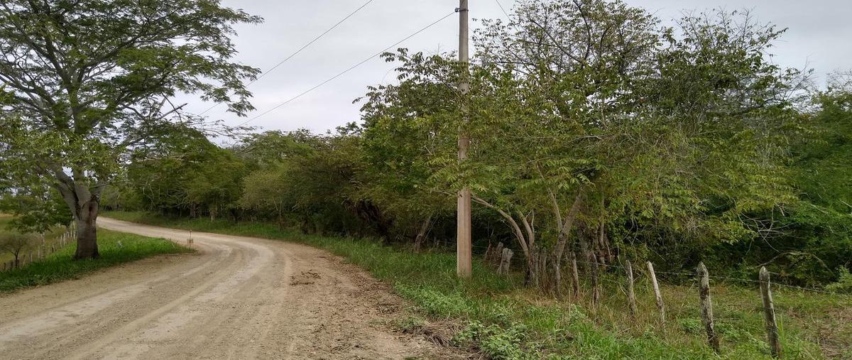 Foto de terreno habitacional en venta en  , nuevo chicayan, tempoal, veracruz de ignacio de la llave, 18639666 No. 03