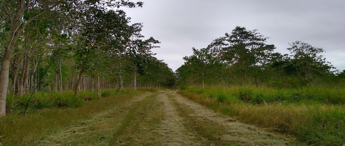 Foto de terreno habitacional en venta en  , nuevo chicayan, tempoal, veracruz de ignacio de la llave, 18639666 No. 04