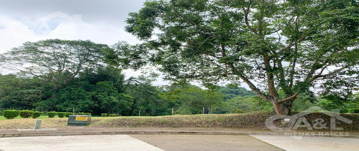 Foto de terreno habitacional en venta en  , nuevo coapexpan, xalapa, veracruz de ignacio de la llave, 0 No. 05