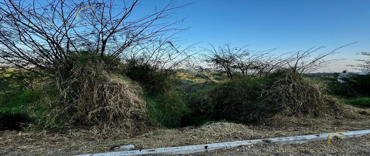 Foto de terreno habitacional en venta en  , nuevo coapexpan, xalapa, veracruz de ignacio de la llave, 0 No. 03