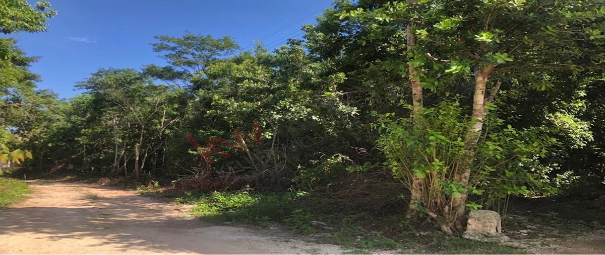 Foto de terreno habitacional en venta en nuevo león 02, colegios, benito juárez, quintana roo, 0 No. 02