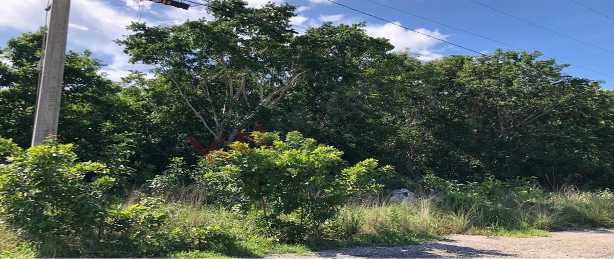 Foto de terreno habitacional en venta en nuevo león 02, colegios, benito juárez, quintana roo, 0 No. 04