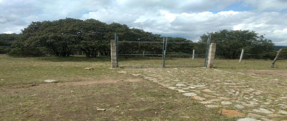 Foto de terreno habitacional en venta en  , nuevo león, león, guanajuato, 21703482 No. 03