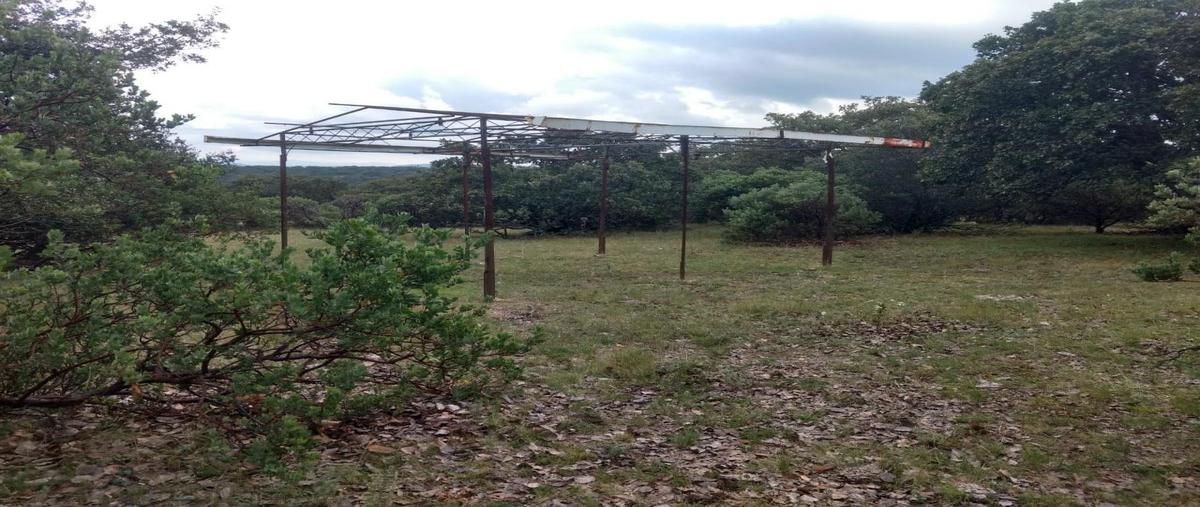 Foto de terreno habitacional en venta en  , nuevo león, león, guanajuato, 21703482 No. 04