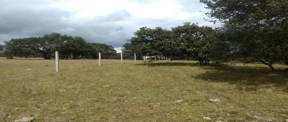 Foto de terreno habitacional en venta en  , nuevo león, león, guanajuato, 21703482 No. 05