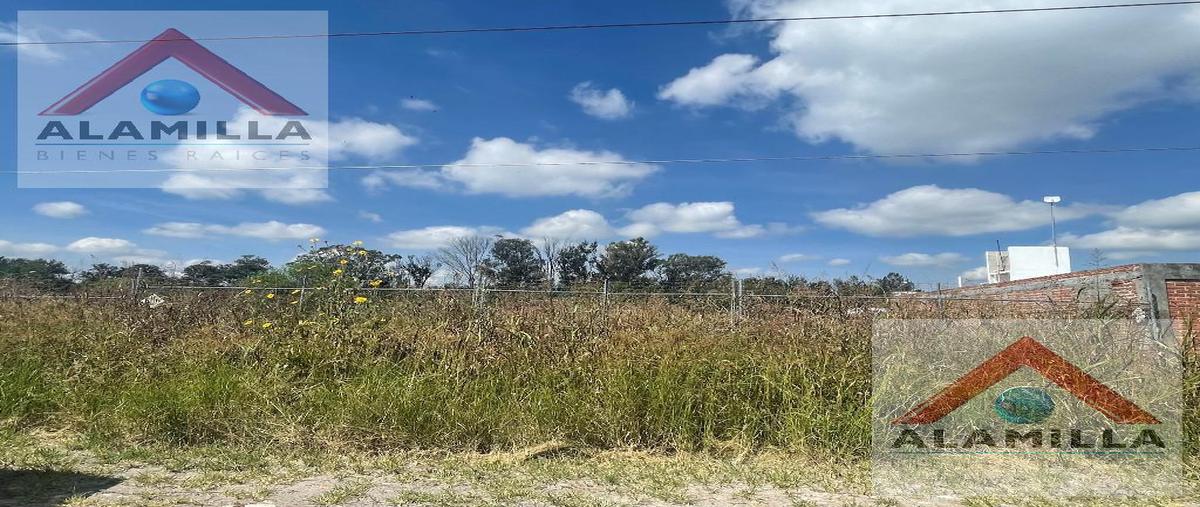 Foto de terreno habitacional en venta en  , nuevo león, león, guanajuato, 22607267 No. 05