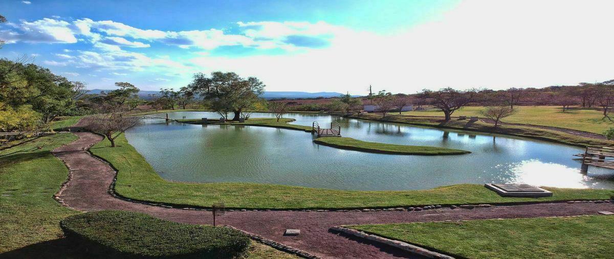 Foto de terreno habitacional en venta en  , nuevo león, león, guanajuato, 23655298 No. 03