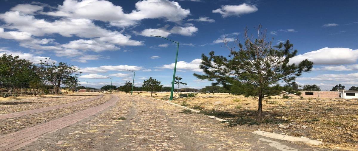 Foto de terreno habitacional en venta en  , nuevo león, león, guanajuato, 23655298 No. 05
