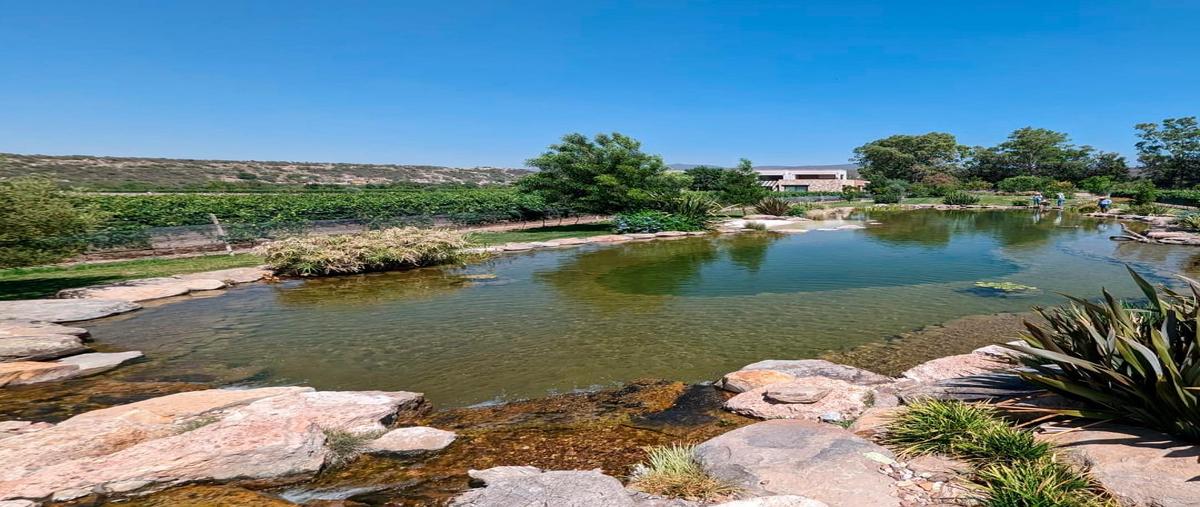 Foto de terreno habitacional en venta en  , nuevo león, león, guanajuato, 28346715 No. 03