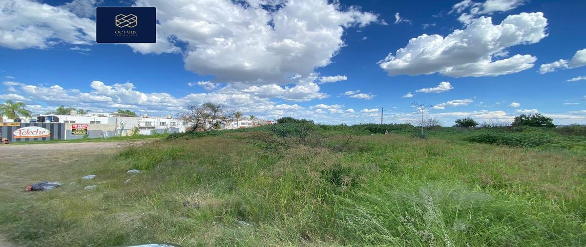 Foto de terreno habitacional en venta en  , nuevo león, león, guanajuato, 30216896 No. 03