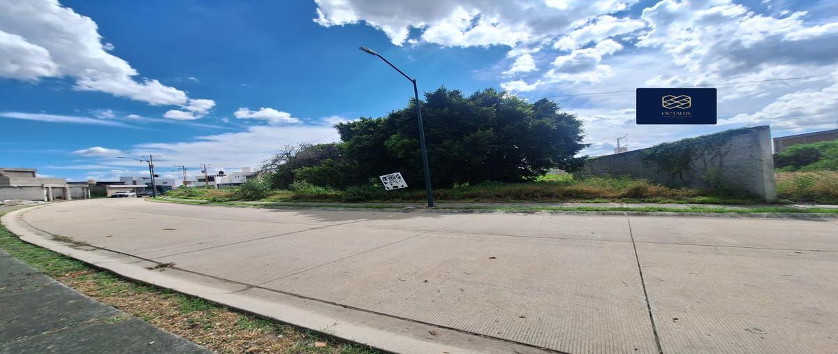 Foto de terreno habitacional en venta en  , nuevo león, león, guanajuato, 30353740 No. 04