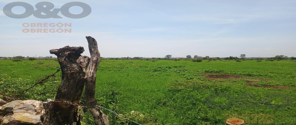 Foto de terreno habitacional en venta en  , nuevo león, león, guanajuato, 0 No. 03