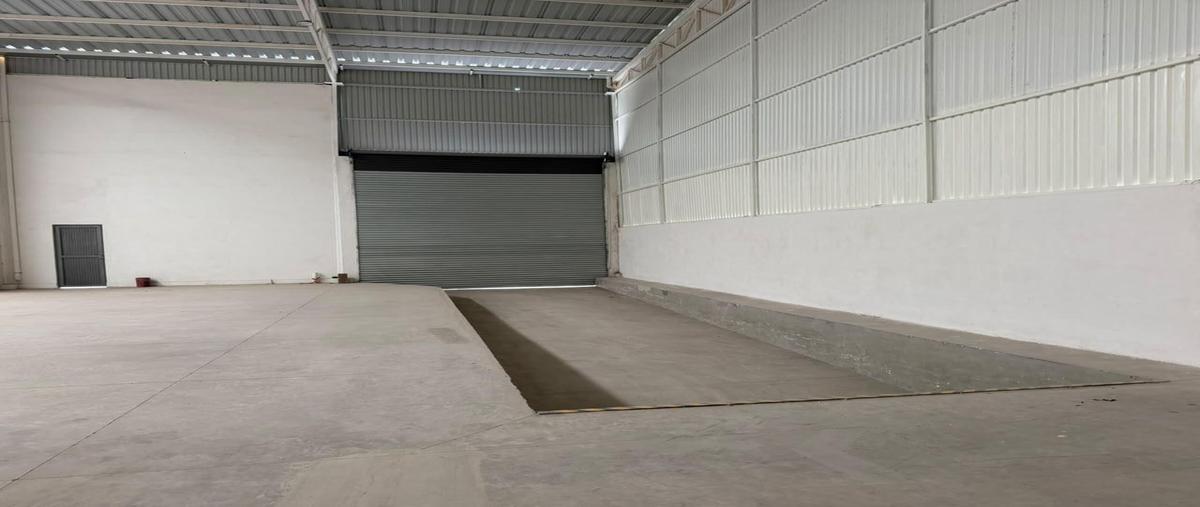 Foto de bodega en renta en  , nuevo león, león, guanajuato, 31514195 No. 03