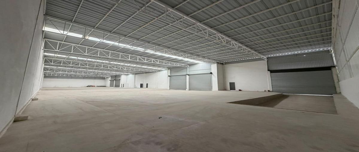 Foto de bodega en renta en  , nuevo león, león, guanajuato, 31514196 No. 03