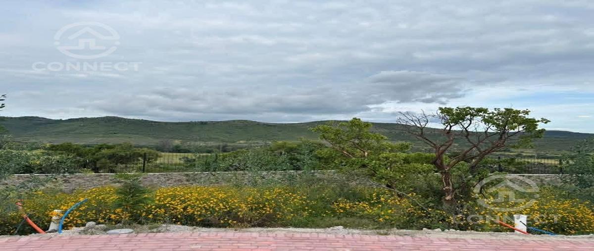 Foto de terreno habitacional en venta en  , nuevo león, león, guanajuato, 0 No. 04