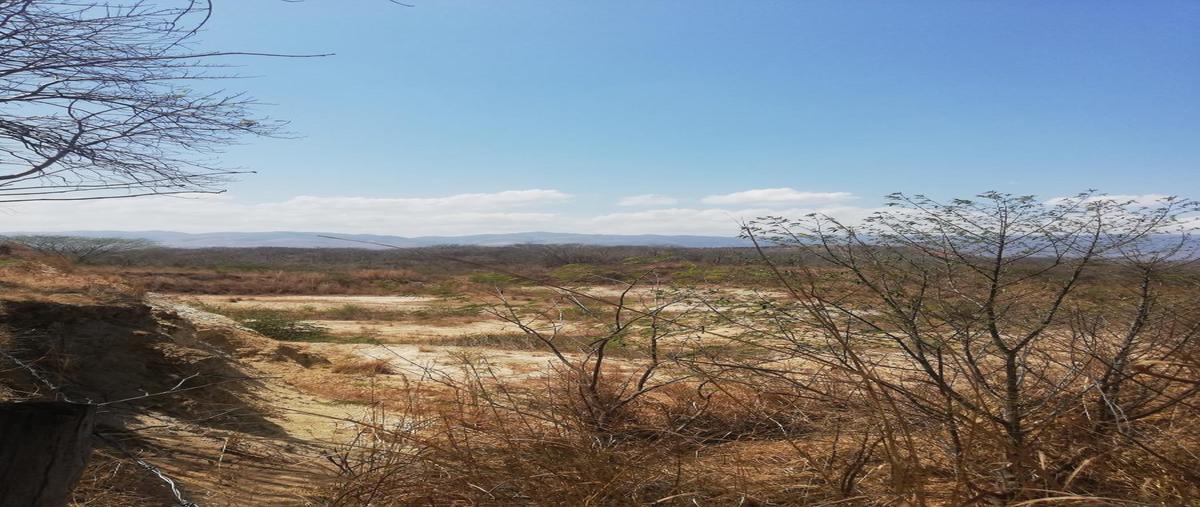 Foto de terreno comercial en venta en nuevo libramiento sur y carretera al aeropuerto , galecio narcia, chiapa de corzo, chiapas, 0 No. 04