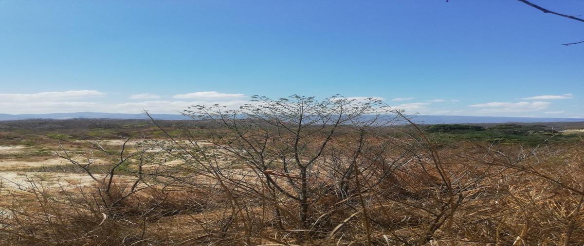 Foto de terreno comercial en venta en nuevo libramiento sur y carretera al aeropuerto , galecio narcia, chiapa de corzo, chiapas, 0 No. 05