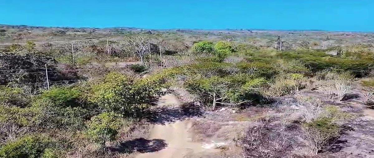 Foto de terreno habitacional en nuevo libramiento sura 3.5 kilometro del crucero de la muerte , nuevo, ocozocoautla de espinosa, chiapas, 0 foto 02 Foto de terreno habitacional en venta en nuevo libramiento sura 3.5 kilometro del crucero de la muerte , nuevo, ocozocoautla de espinosa, chiapas, 0 No. 02