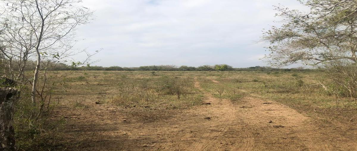 Foto de terreno habitacional en venta en  , nuevo lomas del real, altamira, tamaulipas, 28117086 No. 03