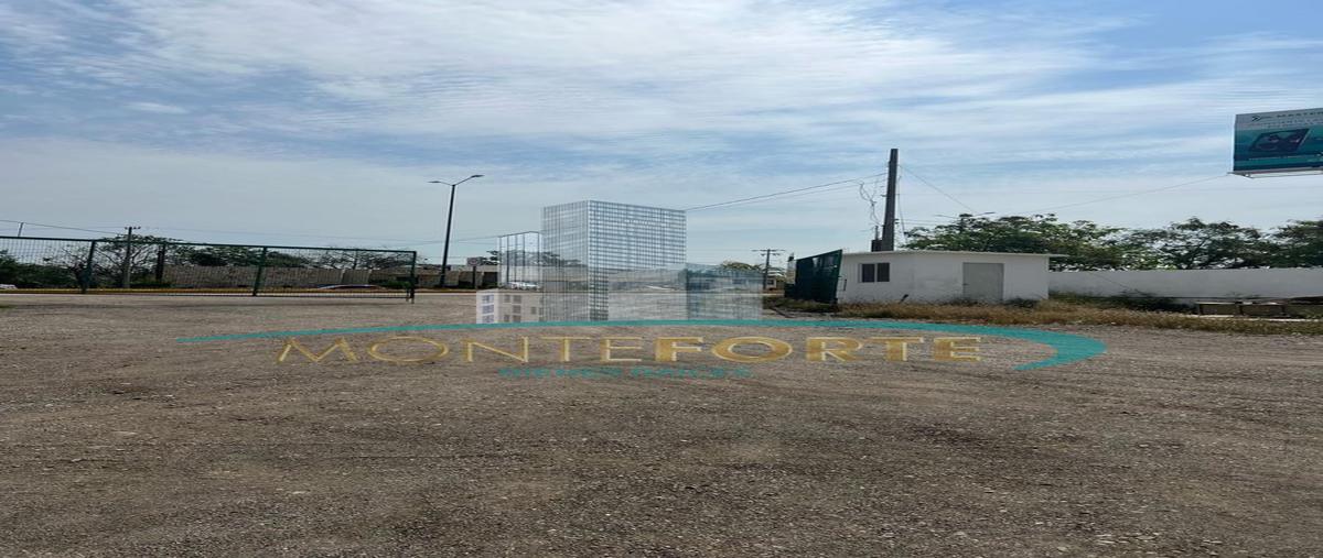 Foto de terreno habitacional en renta en  , nuevo lomas del real, altamira, tamaulipas, 29430956 No. 04