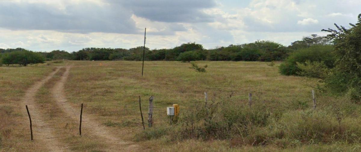 Foto de terreno habitacional en renta en  , nuevo lomas del real, altamira, tamaulipas, 30228696 No. 03
