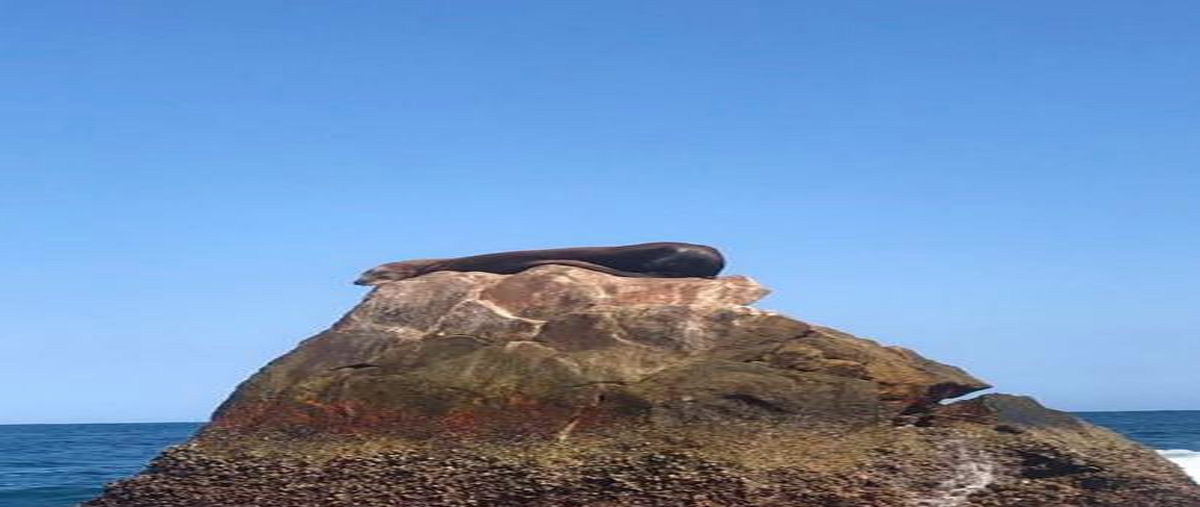 Foto de terreno habitacional en venta en  , nuevo loreto, loreto, baja california sur, 0 No. 03