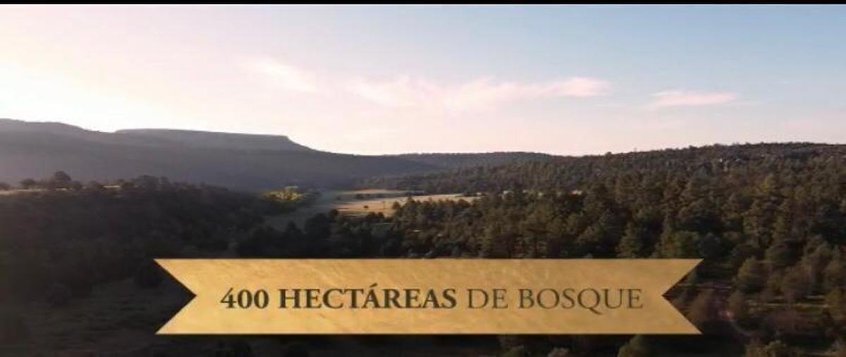 Foto de terreno habitacional en venta en  , nuevo majalca, chihuahua, chihuahua, 27246318 No. 05