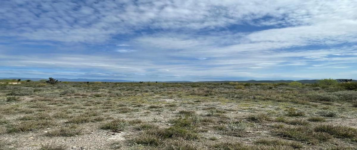 Foto de terreno habitacional en venta en  , nuevo mamulique, salinas victoria, nuevo león, 27826793 No. 03