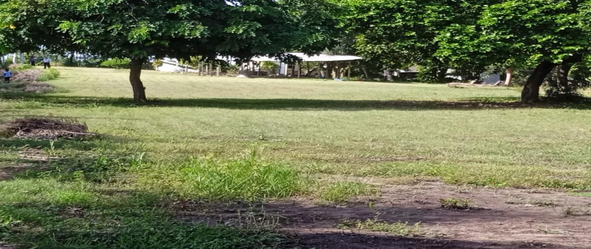 Foto de rancho en , nuevo medellín, medellín de bravo, veracruz de ignacio de la llave, 0 foto 02 Foto de rancho en venta en , nuevo medellín, medellín de bravo, veracruz de ignacio de la llave, 0 No. 02