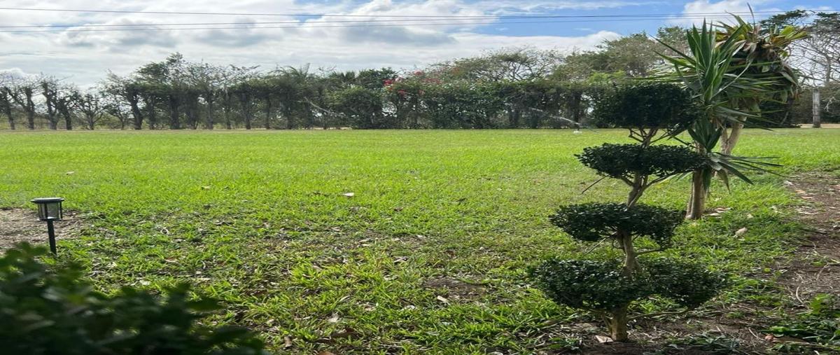 Foto de rancho en , nuevo medellín, medellín de bravo, veracruz de ignacio de la llave, 0 foto 03 Foto de rancho en venta en , nuevo medellín, medellín de bravo, veracruz de ignacio de la llave, 0 No. 03