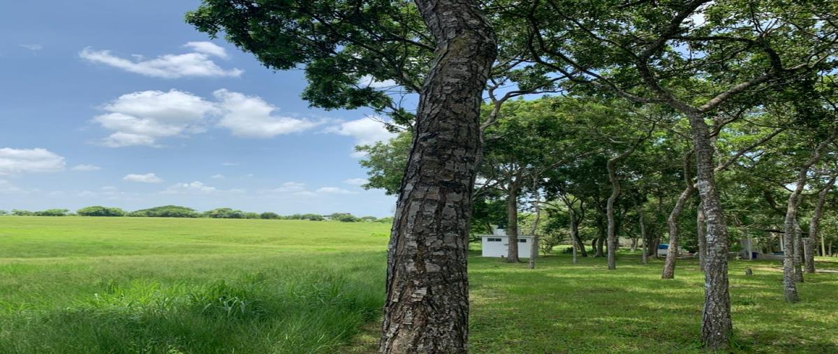 Foto de rancho en , nuevo medellín, medellín de bravo, veracruz de ignacio de la llave, 0 foto 04 Foto de rancho en venta en , nuevo medellín, medellín de bravo, veracruz de ignacio de la llave, 0 No. 04