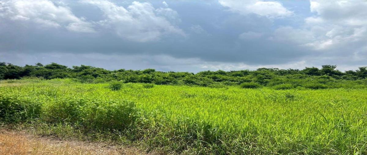 Foto de terreno habitacional en , nuevo medellín, medellín de bravo, veracruz de ignacio de la llave, 0 foto 01 Foto de terreno habitacional en renta en , nuevo medellín, medellín de bravo, veracruz de ignacio de la llave, 0 No. 01