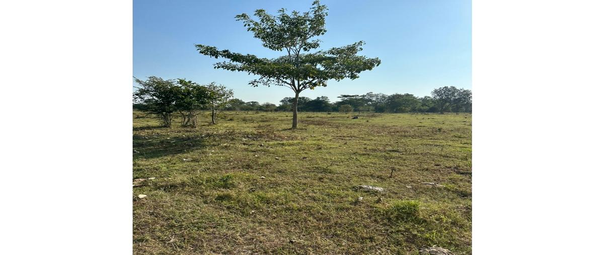 Foto de rancho en venta en  , nuevo méxico, balancán, tabasco, 0 No. 03